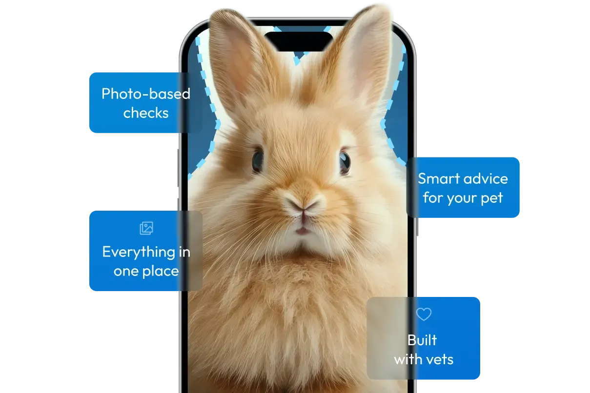 Phone login