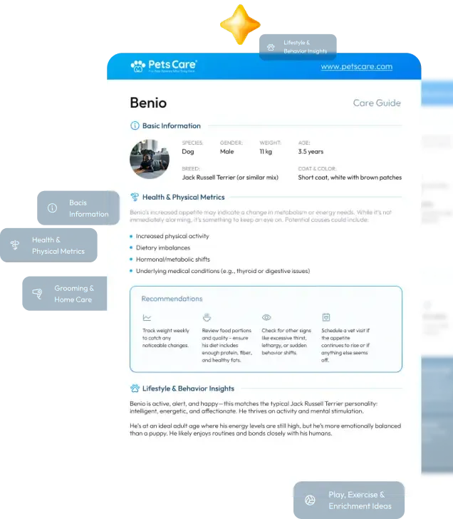 report_card