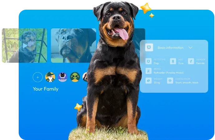 Slide 3 visual